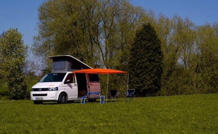 Wilma – Wilma VW T5