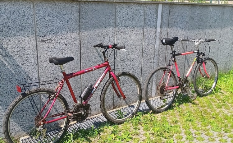 pierluigi – Ford Rimor Overcab