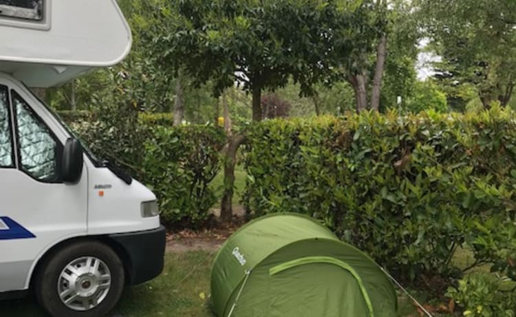 5-6 p gezellige, compacte familie camper Fiat Alkoof. 