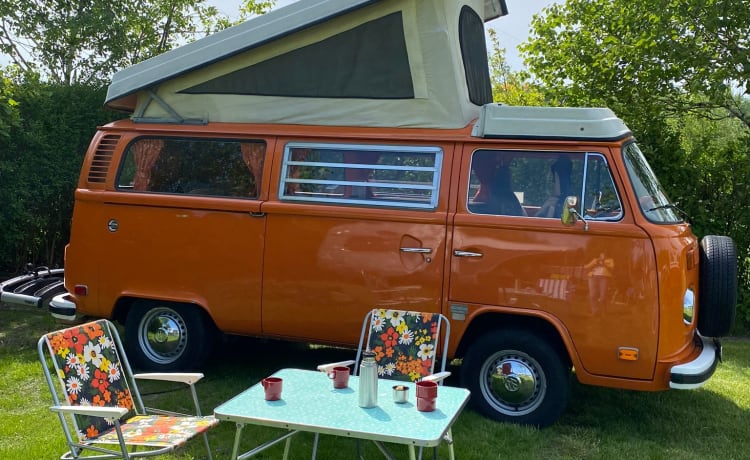 Orange  – Trendy orange Retro Volkswagen T-2 Camper