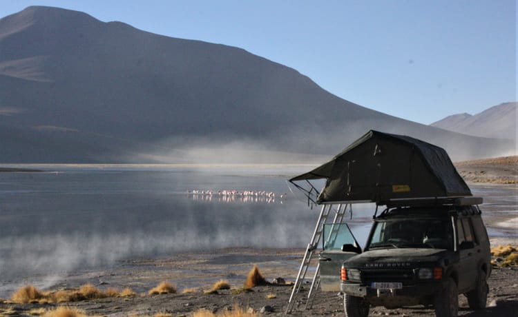 'Onzen Disco' – Landrover Discovery with roof tent