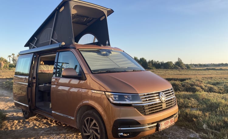 Copper Bronze – VW California Ocean T6.1