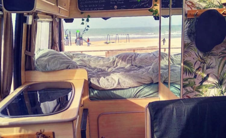 Safari – Compact bus camper Safari (incl. all-risk insurance at € 23.60 p/d)