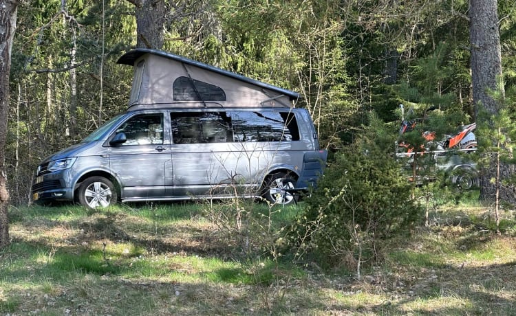 Hendrik – 4p Volkswagen Camper Bus uit 2017