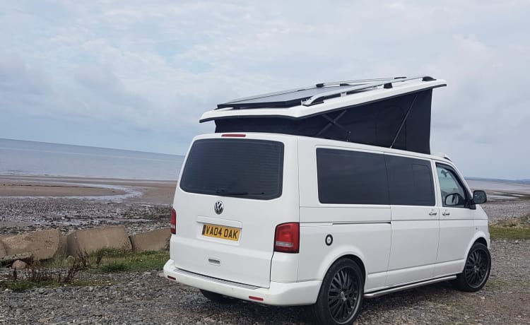 Salty sea dog  – 4 berth Volkswagen bus from 2012