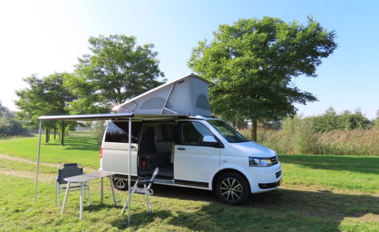 Buzz – VW California Komfortlinie (T5)