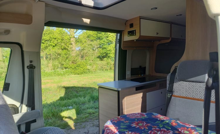 Bus camper 4p automatico dal 2021