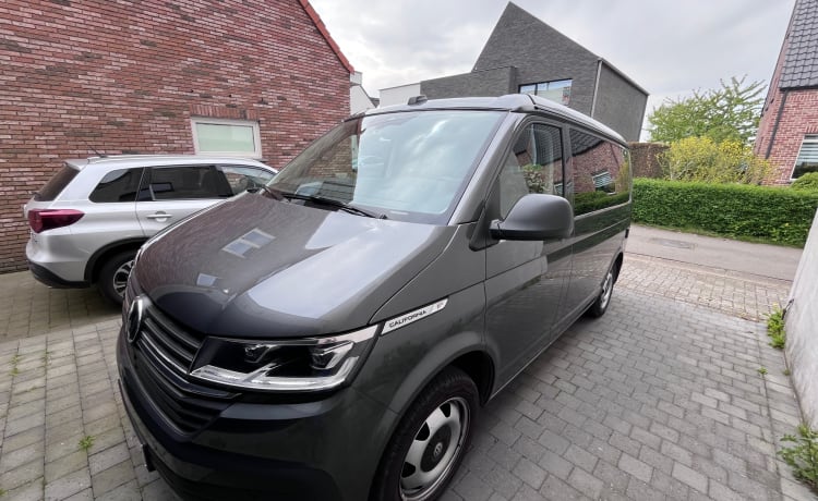 Zwitsers zakmes – 5p Volkswagen campervan uit 2023 (automaat)