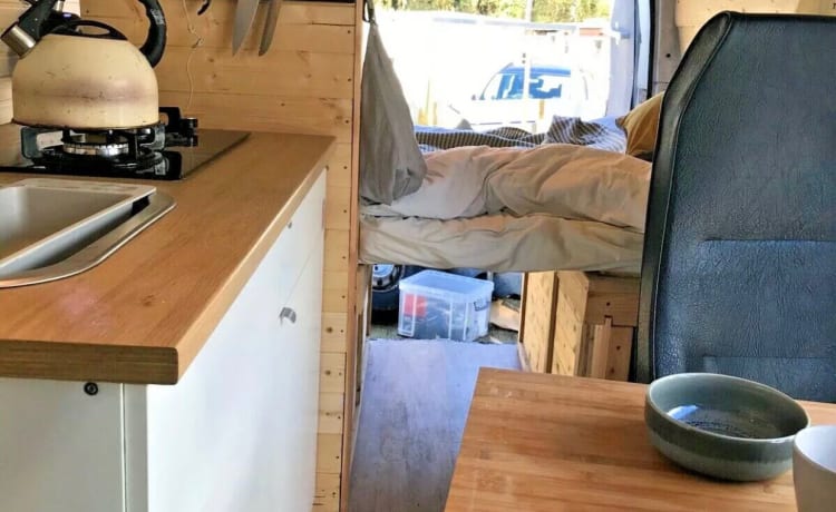 Leah – Prachtig omgebouwde houten interieur camper