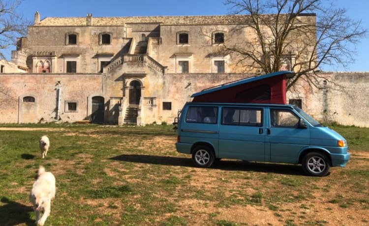 Cielo – In Puglia con il T4 California Coach