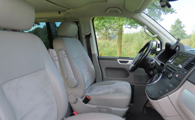 Buzz – VW California Comfort Line (T5)