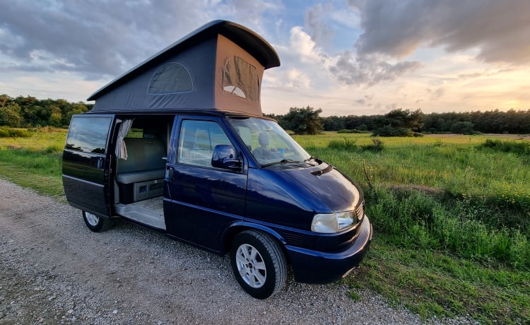 * VW California Westfalia – Campervan mit Vollausstattung *