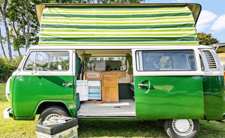 Monty – Monty – 1979er VW-Wohnmobil mit 4 Schlafplätzen  