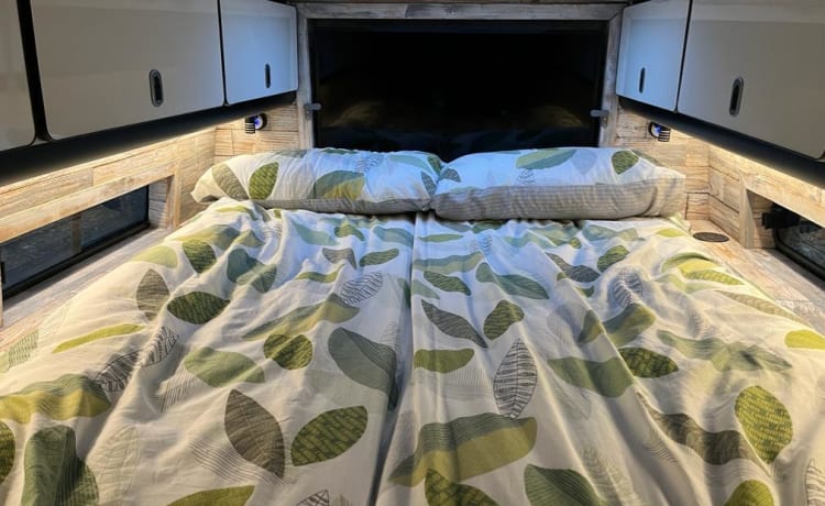 Sheila – Camper Volkswagen Crafter 5 posti letto (2016)