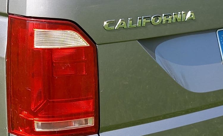 CALIF – Bus VW California 4 Motion - 4 personen