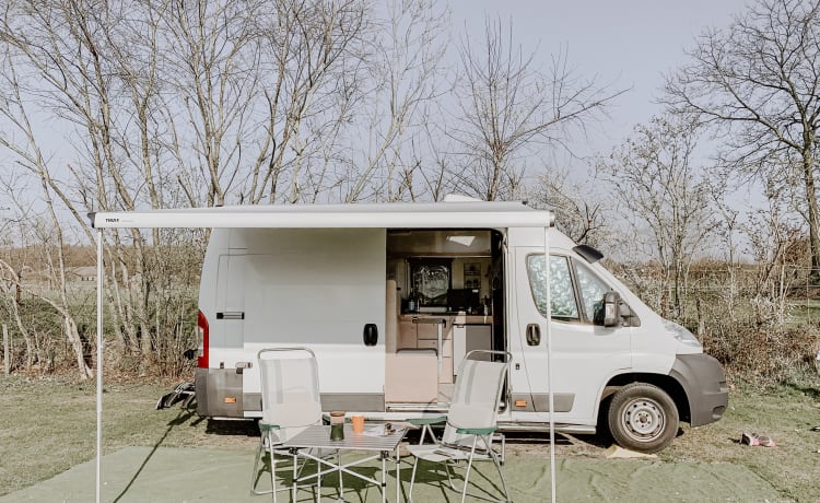 Explorer – Compact Peugeot Bus camper