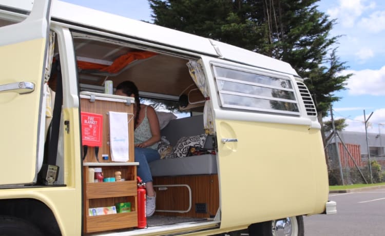 Daisy – Uno splendido camper classico VW a noleggio, con sede nel sud-ovest della Scozia