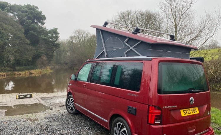 Strawberry – Nouveau VW California Ocean T6.1 DSG 2.0 TDI Automatique avec assistance à la conduite