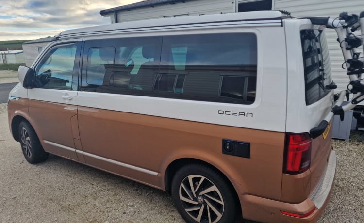 Camper Volkswagen a 4 posti letto del 2020