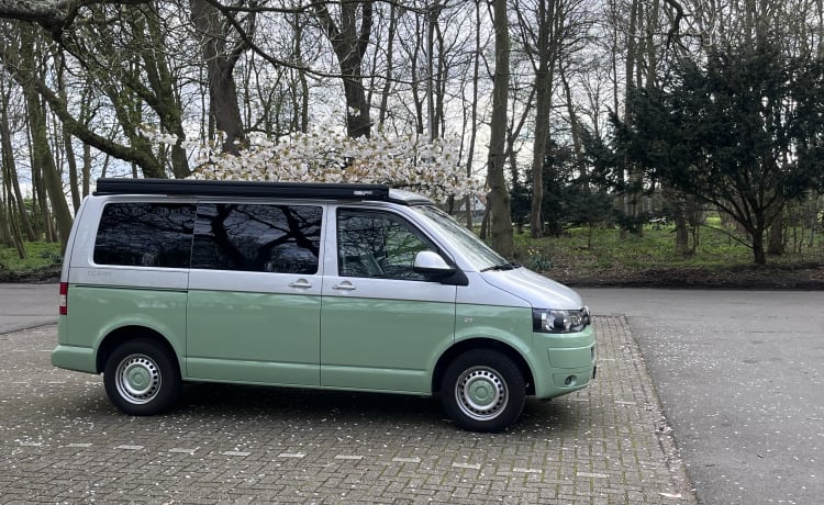 “Pomme” – 4p Volkswagen bus uit 2016