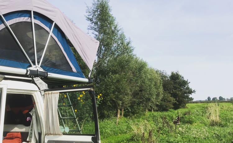 Croiseur de camping unique 4x4 avec tente de toit