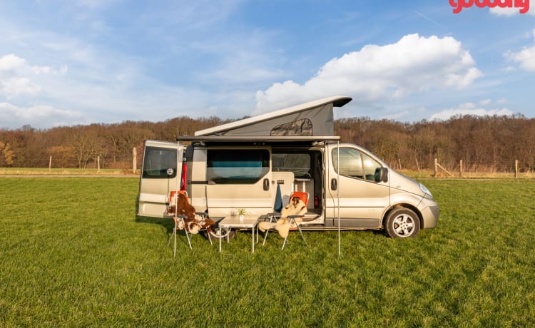 Roza – 4p Renault Camperbus von 2011 – für fast jedes Abenteuer geeignet!