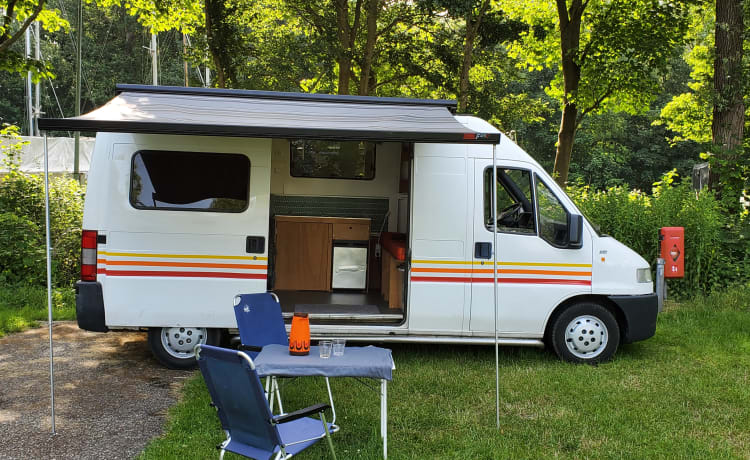 Retro Ronnie – Cozy and spacious (family) bus camper