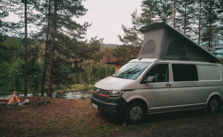 Bärbelche – VW T6.1 – Der Wohlfühl-Camper mit viel Platz und Solar!