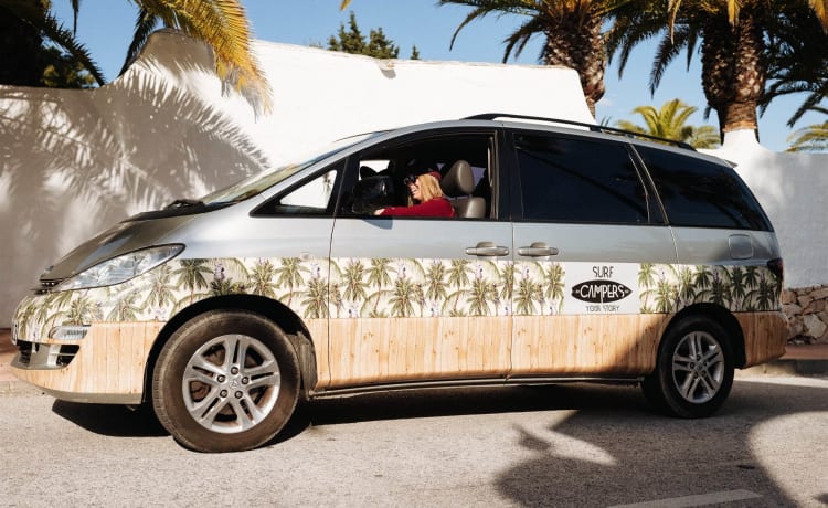 HAWAI – BOHO Accogliente camper - prezzo economico