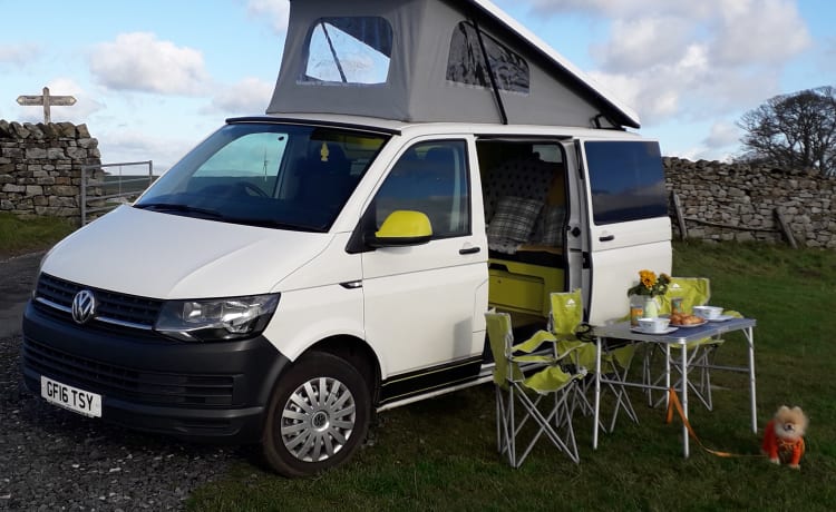 HONEYBEE – VW T6 ADAPTÉ AUX ANIMAUX AVEC INTÉRIEUR JAUNE