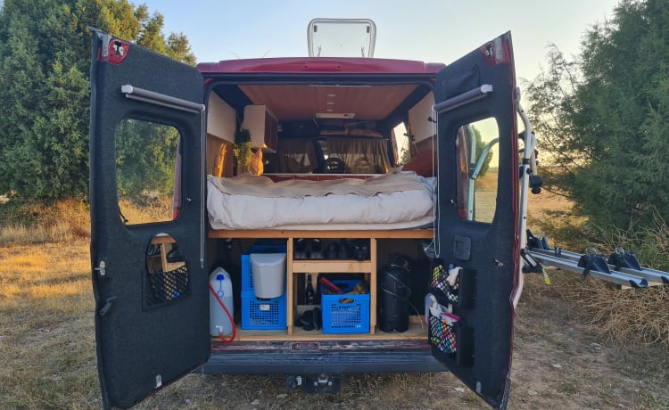 Bussie!  – Cozy and nice house on wheels