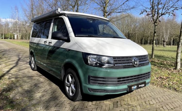 Trendy 4 posti Volkswagen T6 (conversione nel 2022)