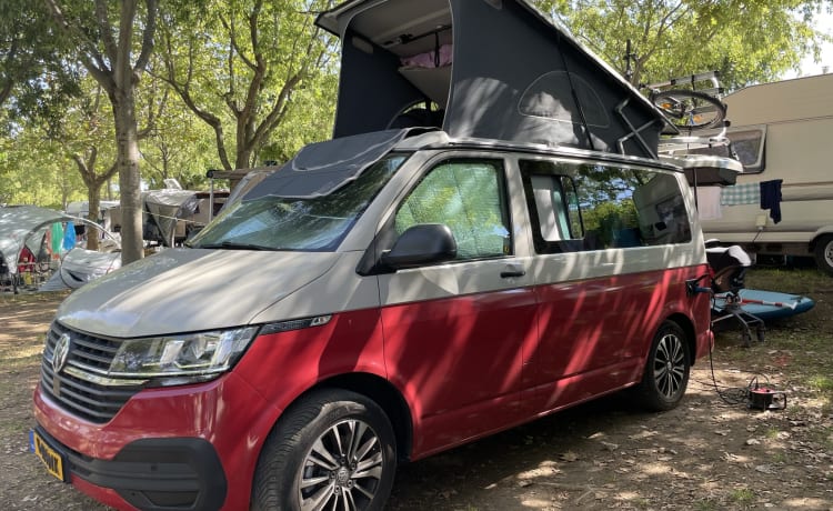 Le camping-car ultime : un Volkswagen California T6.1 presque neuf