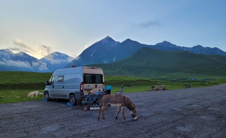 Zelfbouw Fiat Ducato – L'autobus di Chris e Maria