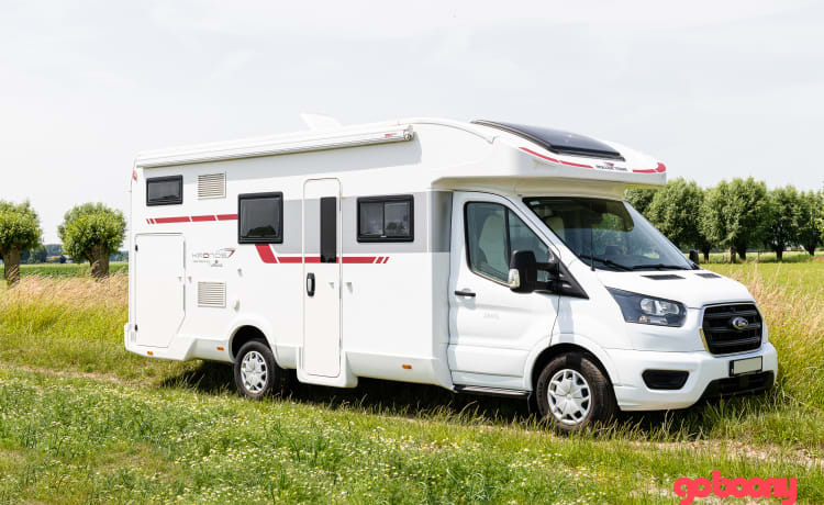 NEW ! "Little-Diamond" - All-in motorhome from 07/2020