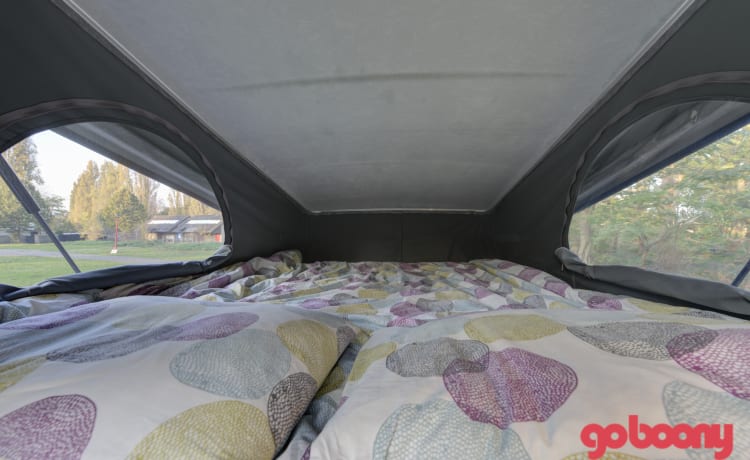 Den Burt – Brandneuer Burstner Bus Camper für 4 Personen