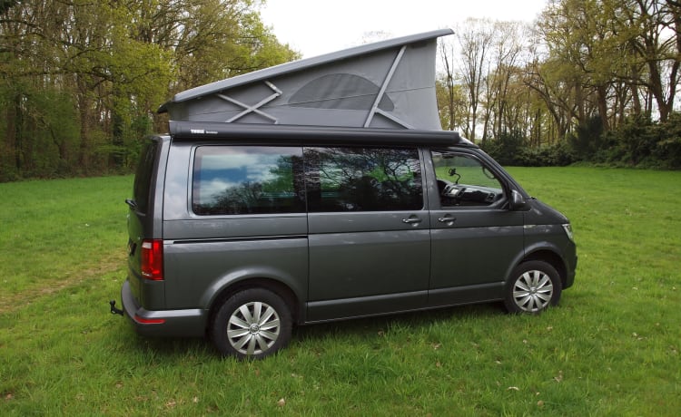 Camping-car VW Westfalia 2-/4p (2016)