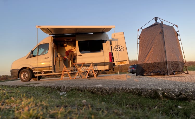 Connie – In the New Forest ready for adventures