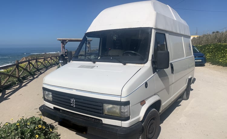 Sterke comfortabele camper:) – 2p Peugeot Wohnmobil von 1993