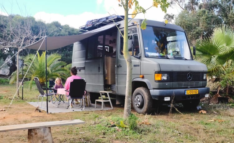 Dolly – The ultimate camper van