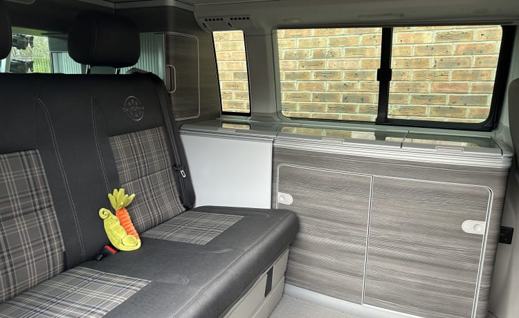 Roxie – 4 berth Volkswagen campervan from 2019