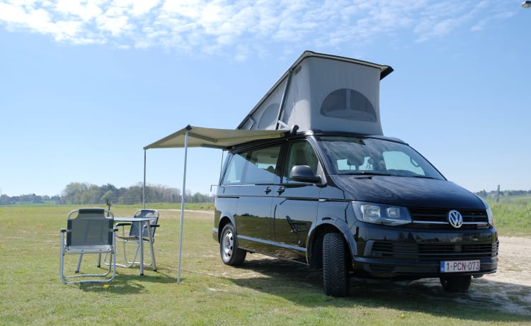 D-Bus Cocoon – VW California T6 for adventurers