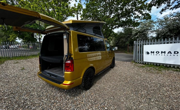 Goldie LONDON – RK69RPY - Aventure avec Goldie, la Volkswagen Nomade à 4 Couchettes