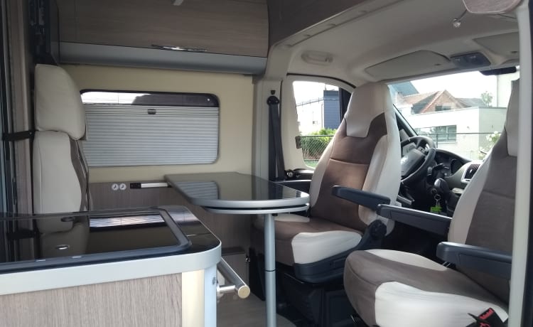 CHAUSSON V597CS esclusivo