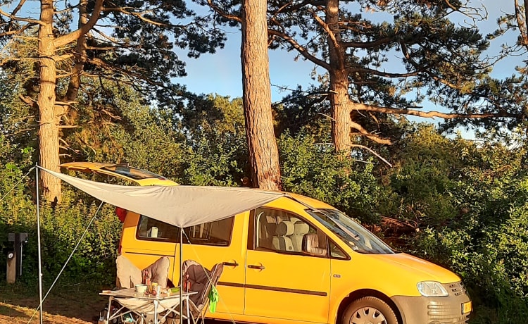 Zonnetje! Little miss sunshine! (Kan niet kiezen) – Mini camping-car pour un maximum de plaisir !