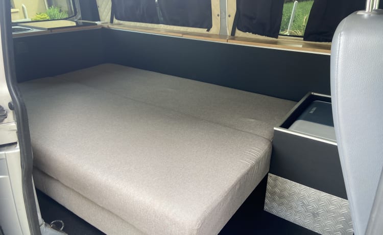 Bigout  – Transporter T5 2.0 TDI Professional layout 2 people