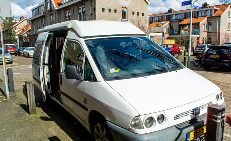 Scudo – Schöner kompakter Camper 🚐🏝