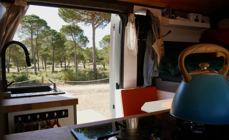 Peus – Camper off-grid con interni nuovi 2023