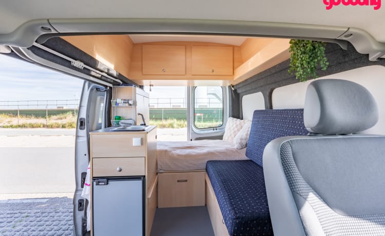 Bel camper compatto del 2010