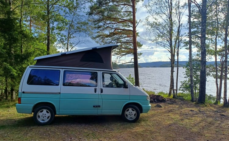 Jente – 4p Volkswagen T4 Westfalia campervan met hefdak